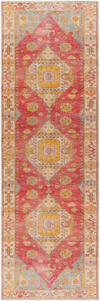 Amelie AML-2346 Pink Area Rug