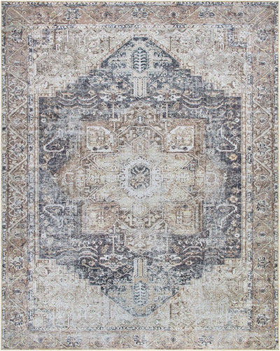 Amelie AML-2360 Ink-Blue Area Rug by LIVABLISS