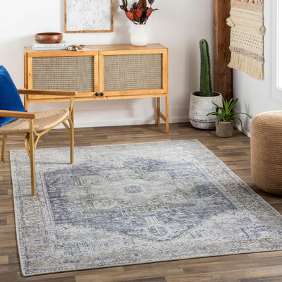 Amelie AML-2360 Ink-Blue Area Rug by LIVABLISS