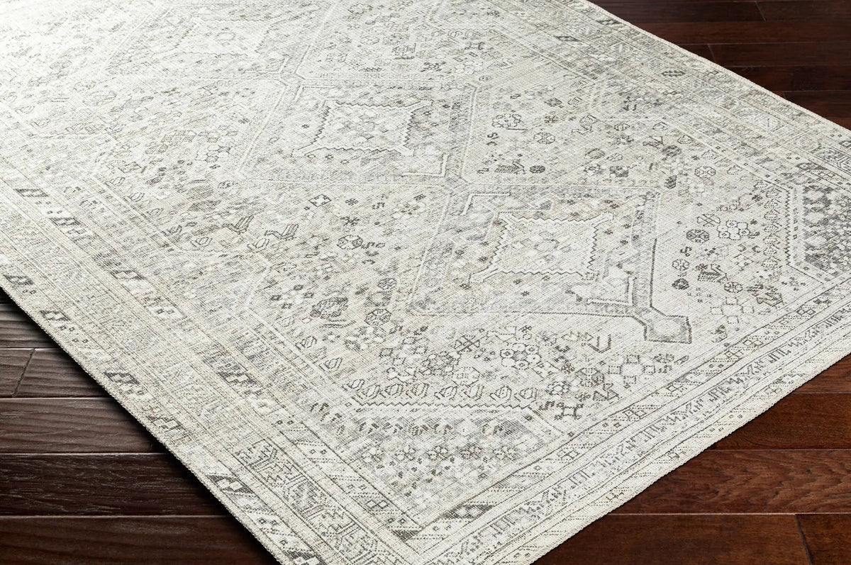 Amelie AML-2379 Off-White Area Rug by LIVABLISS