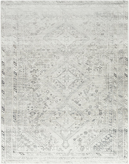 Amelie AML-2379 Off-White Area Rug