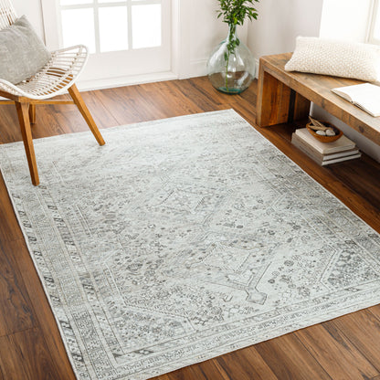 Amelie AML-2379 Off-White Area Rug