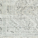 Amelie AML-2379 Off-White Area Rug