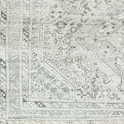 Amelie AML-2379 Off-White Area Rug