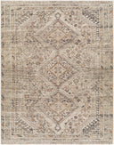 Amelie AML-2383 Light Brown Area Rug