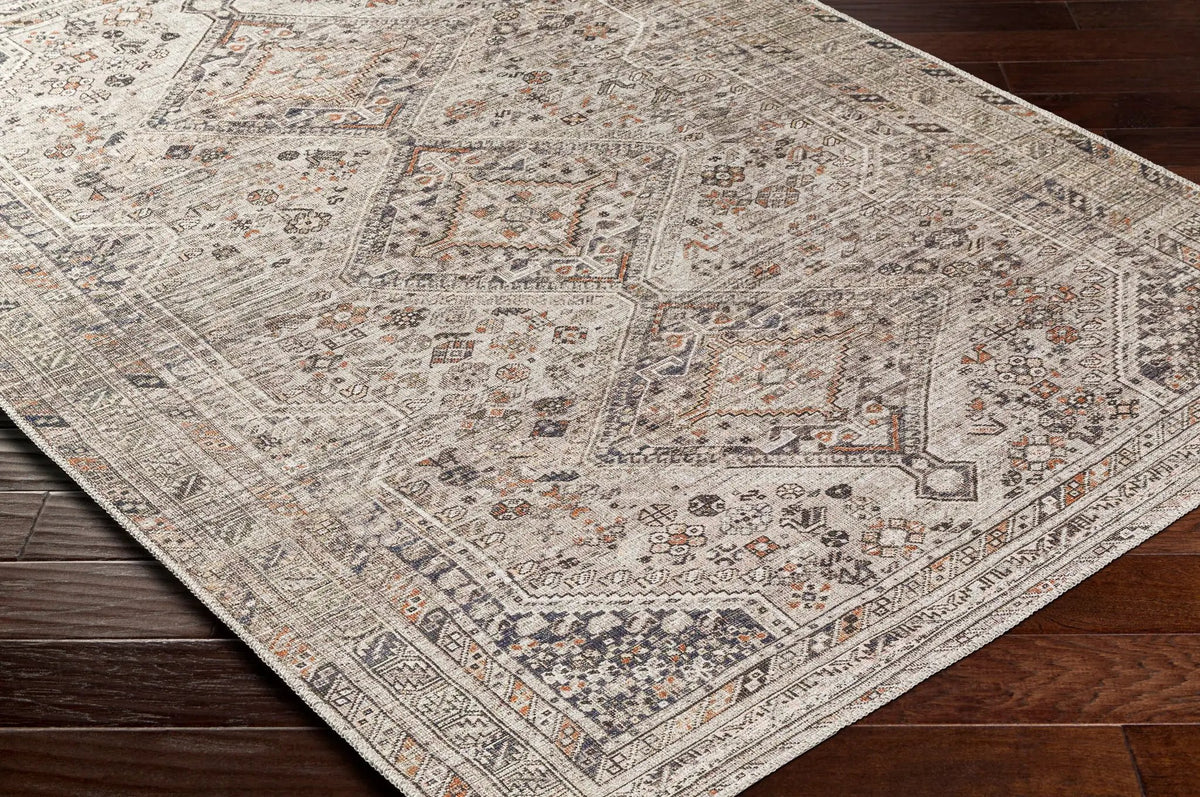 Amelie AML-2383 Light Brown Area Rug by LIVABLISS