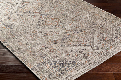 Amelie AML-2383 Light Brown Area Rug