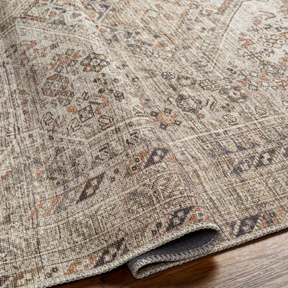 Amelie AML-2383 Light Brown Area Rug