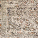 Amelie AML-2383 Light Brown Area Rug