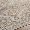 Amelie AML-2383 Light Brown Area Rug