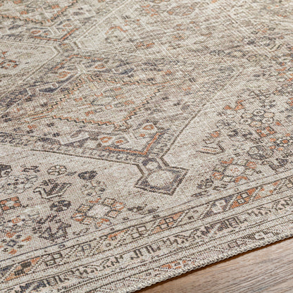 Amelie AML-2383 Light Brown Area Rug
