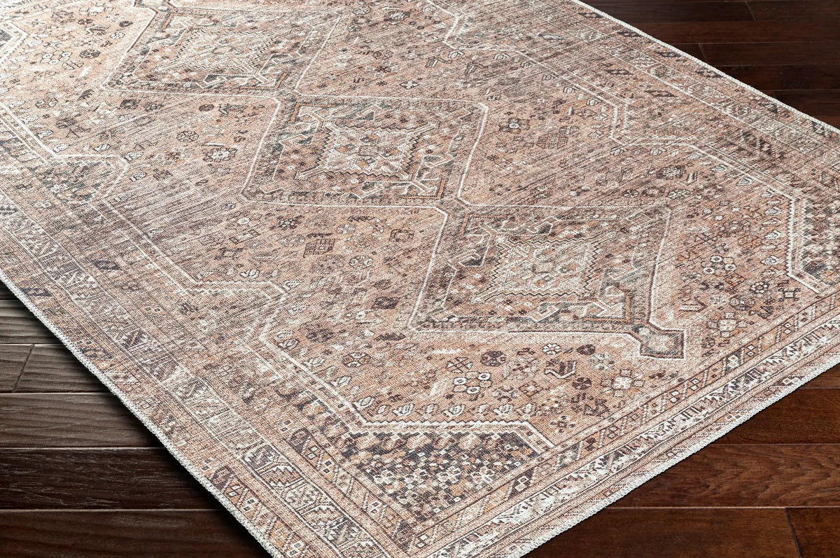 Amelie AML-2384 Light Brown Area Rug by LIVABLISS