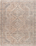 Amelie AML-2384 Light Brown Area Rug