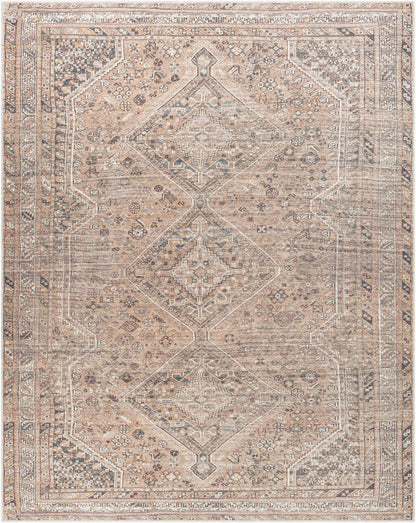 Amelie AML-2384 Light Brown Area Rug