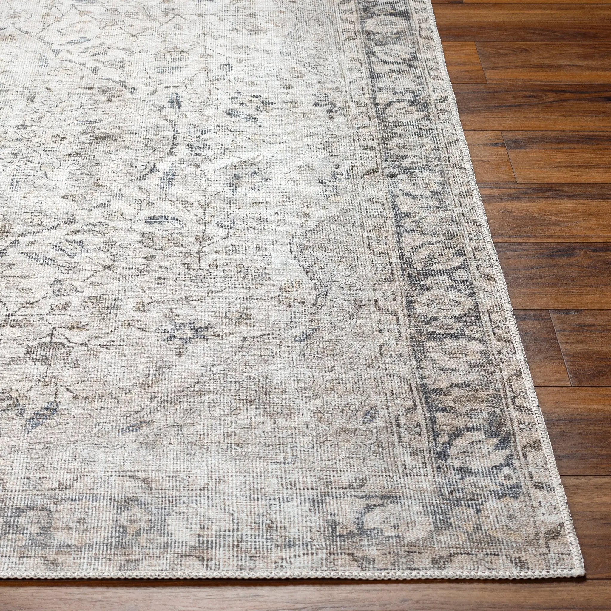 Amelie AML-2385 Ivory Area Rug by LIVABLISS