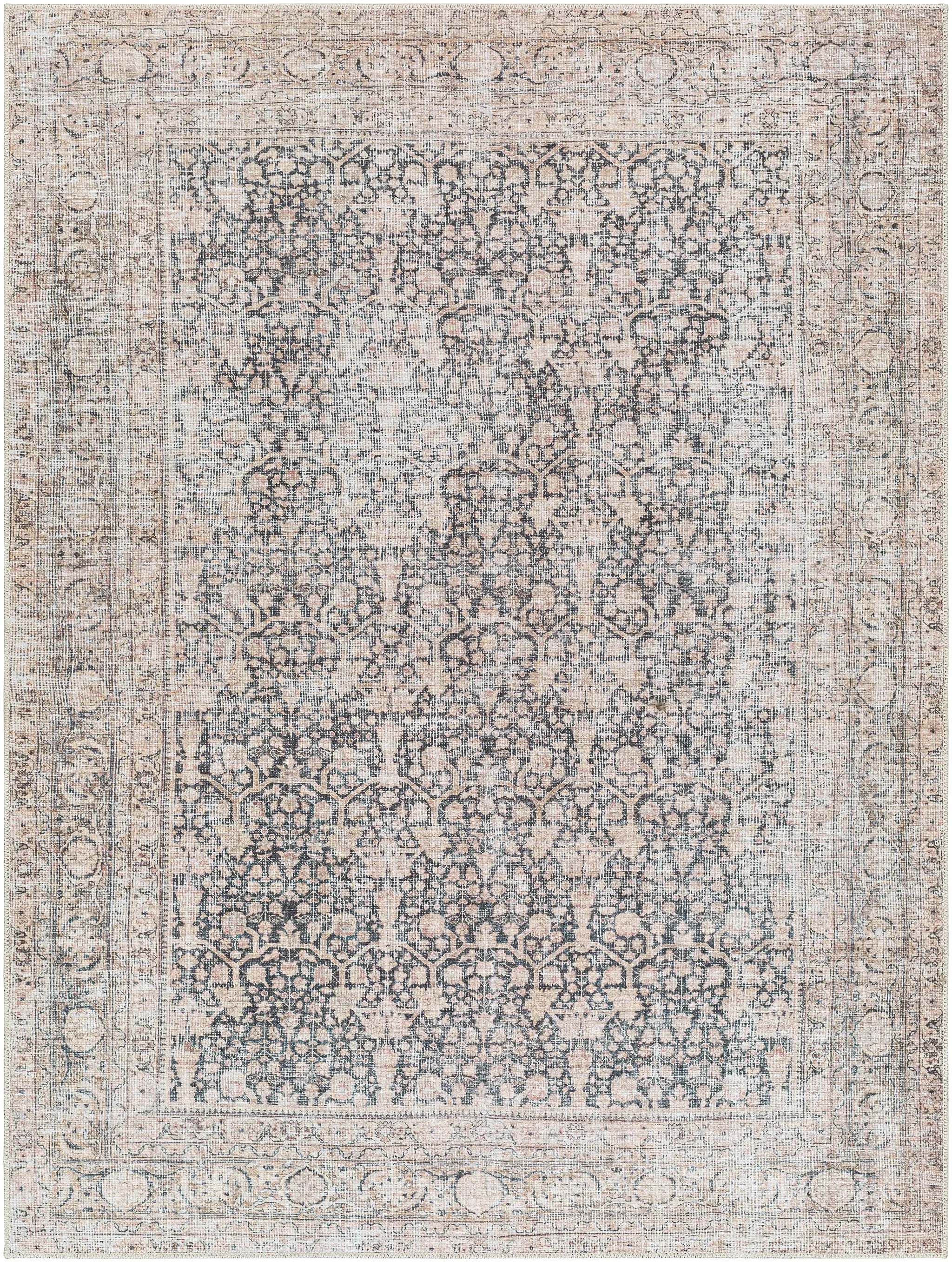 Surya Amelie AML-2387 Black Machine Washable Area Rug by LIVABLISS
