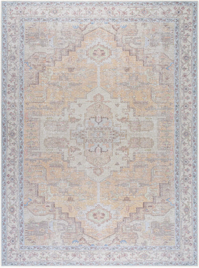 Livabliss x Becki Owens Amelie AML-2388 Sandstone Area Rug