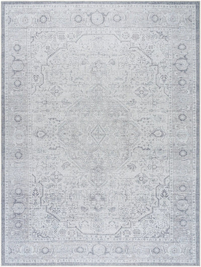 Livabliss x Becki Owens Amelie AML-2389 Pewter Area Rug