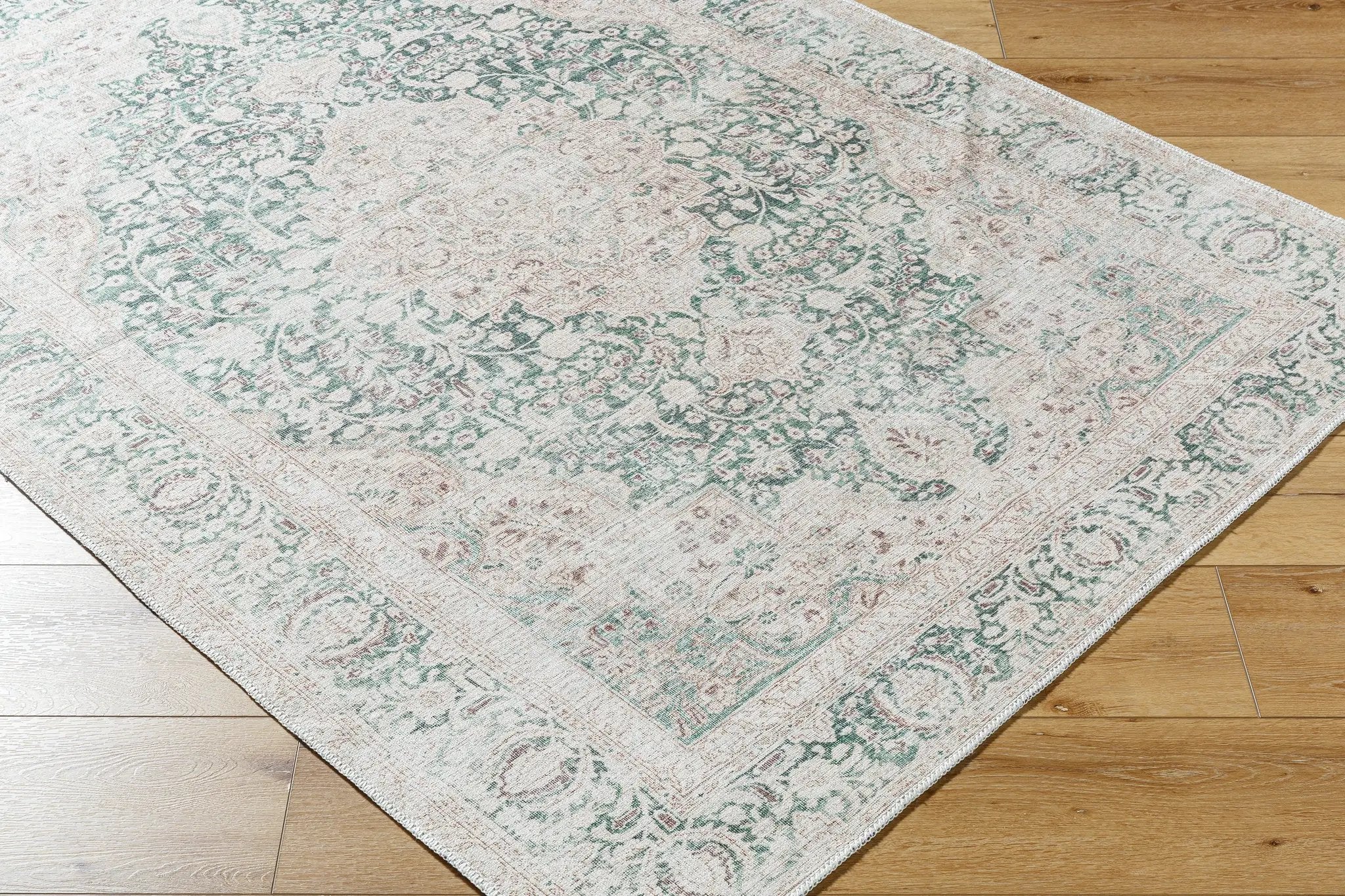 Amelie AML-2393 Medium-Green Area Rug by LIVABLISS