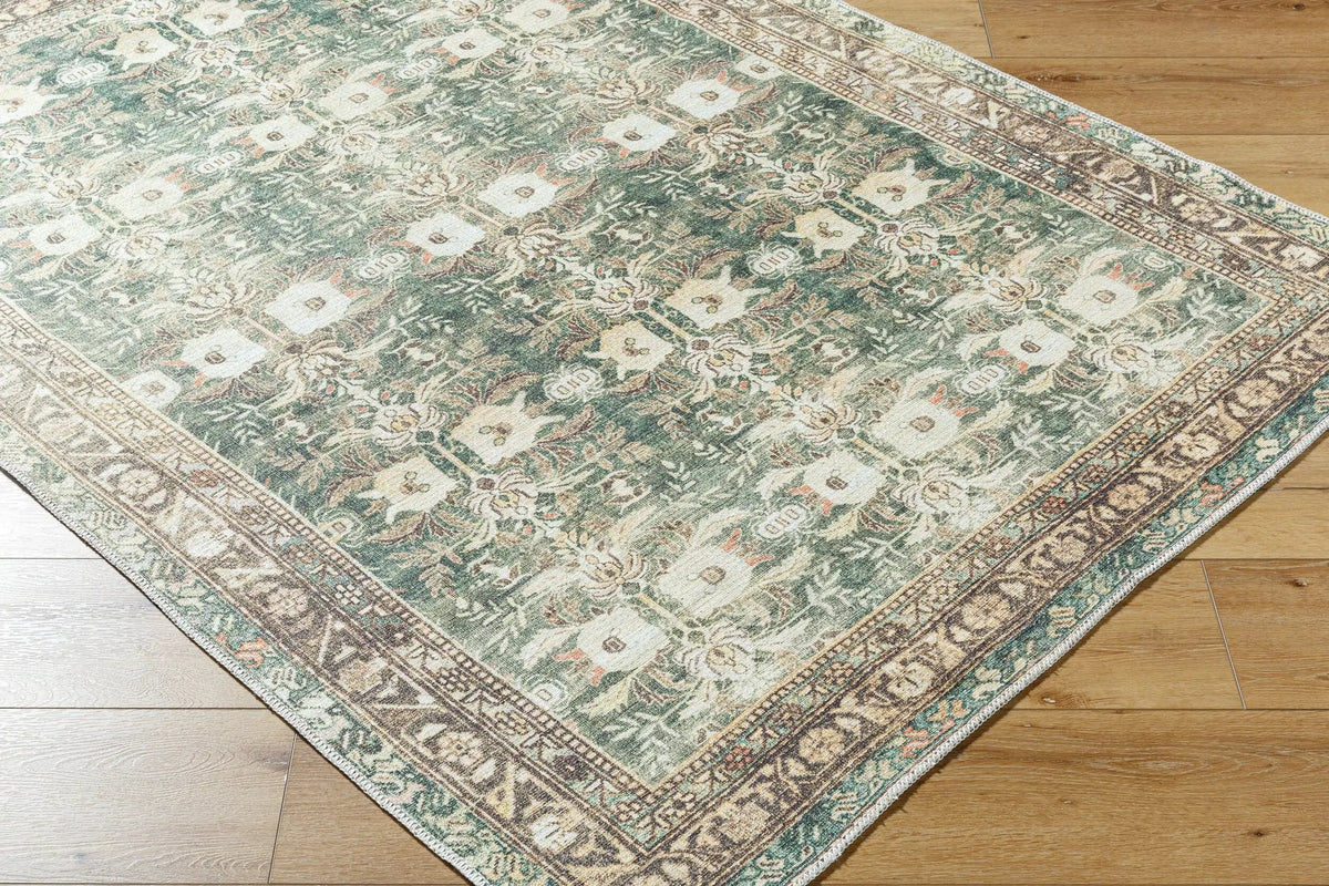 Amelie AML-2396 Olive Area Rug by LIVABLISS