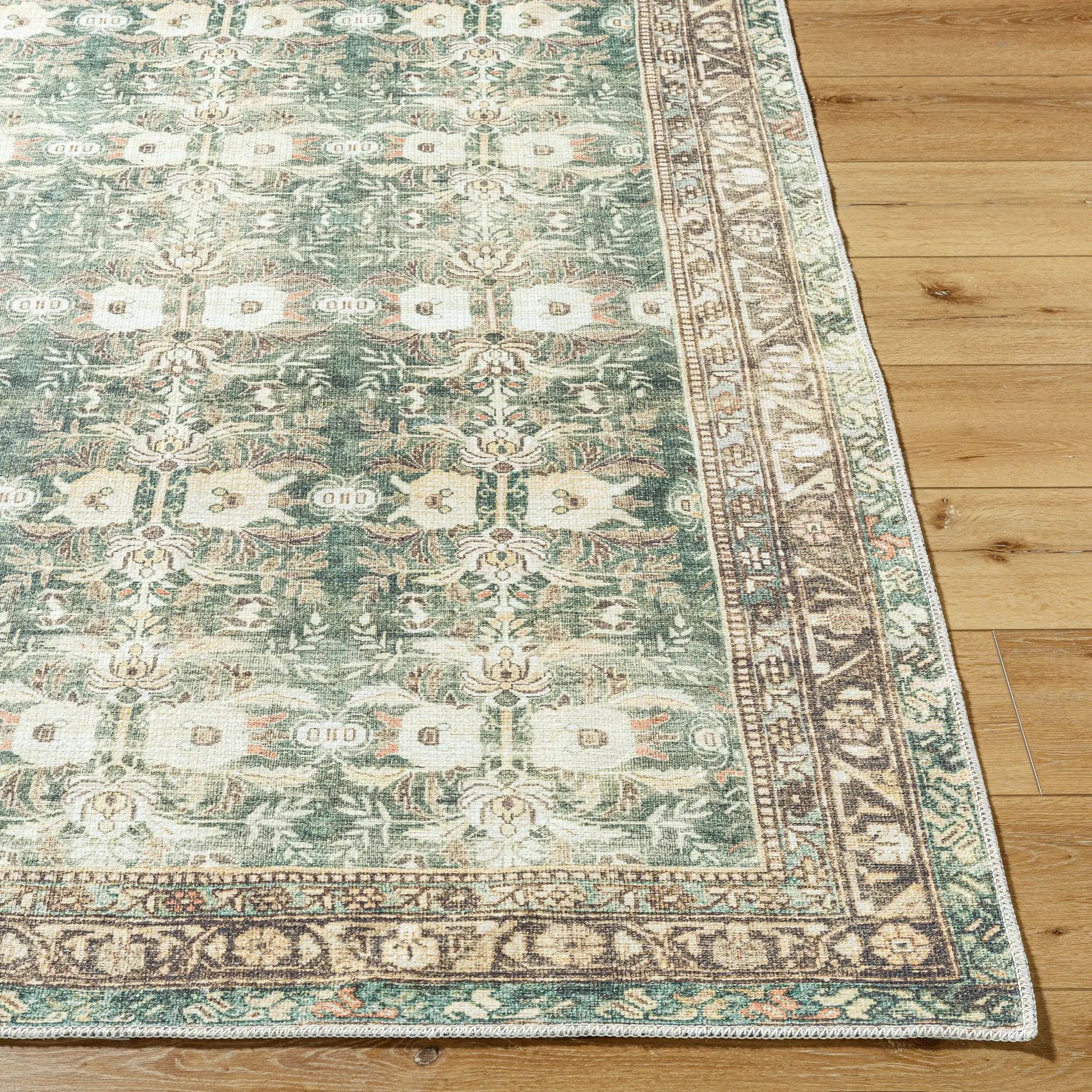 Amelie AML-2396 Olive Area Rug by LIVABLISS
