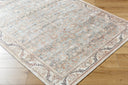 Becki Owens Amelie AML-2398 Seafoam Machine Washable Area Rug by LIVABLISS