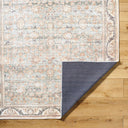 Becki Owens Amelie AML-2398 Seafoam Machine Washable Area Rug by LIVABLISS