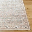 Becki Owens Amelie AML-2398 Seafoam Machine Washable Area Rug by LIVABLISS