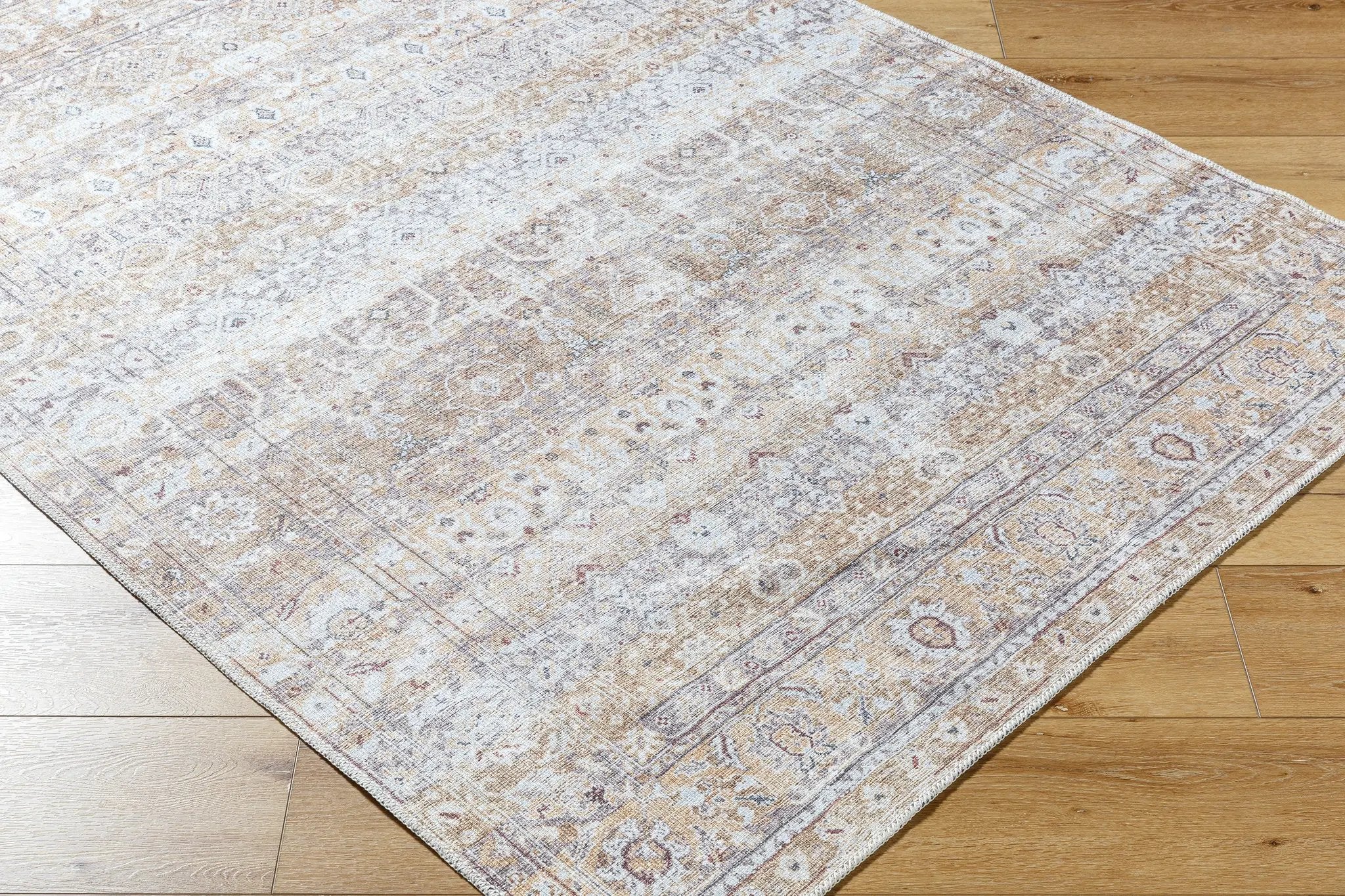 Amelie AML-2400 Beige Area Rug by LIVABLISS