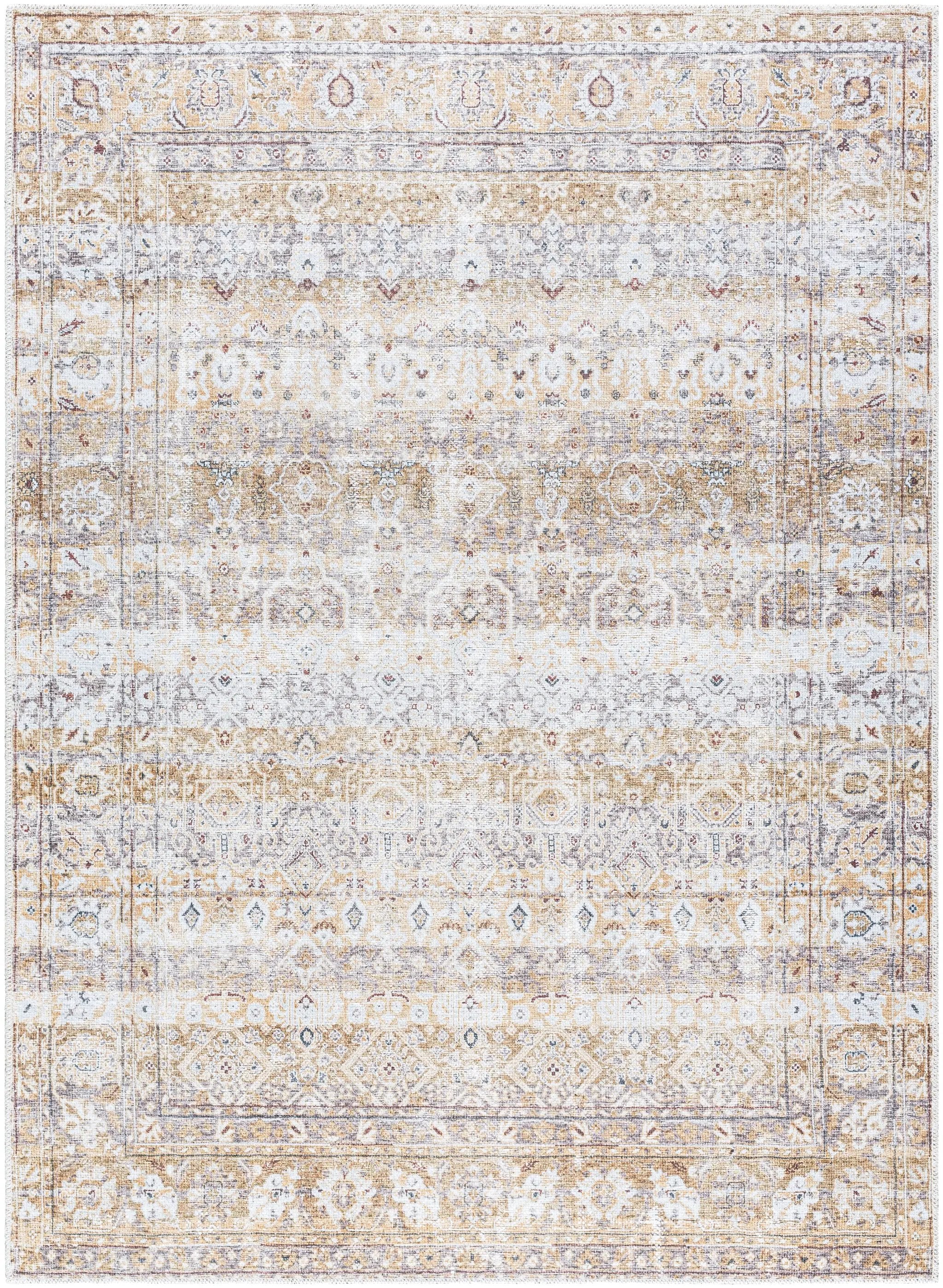 Amelie AML-2400 Beige Area Rug by LIVABLISS