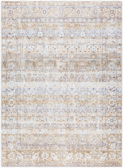 Surya Amelie AML-2400 Beige Machine Washable Area Rug by LIVABLISS