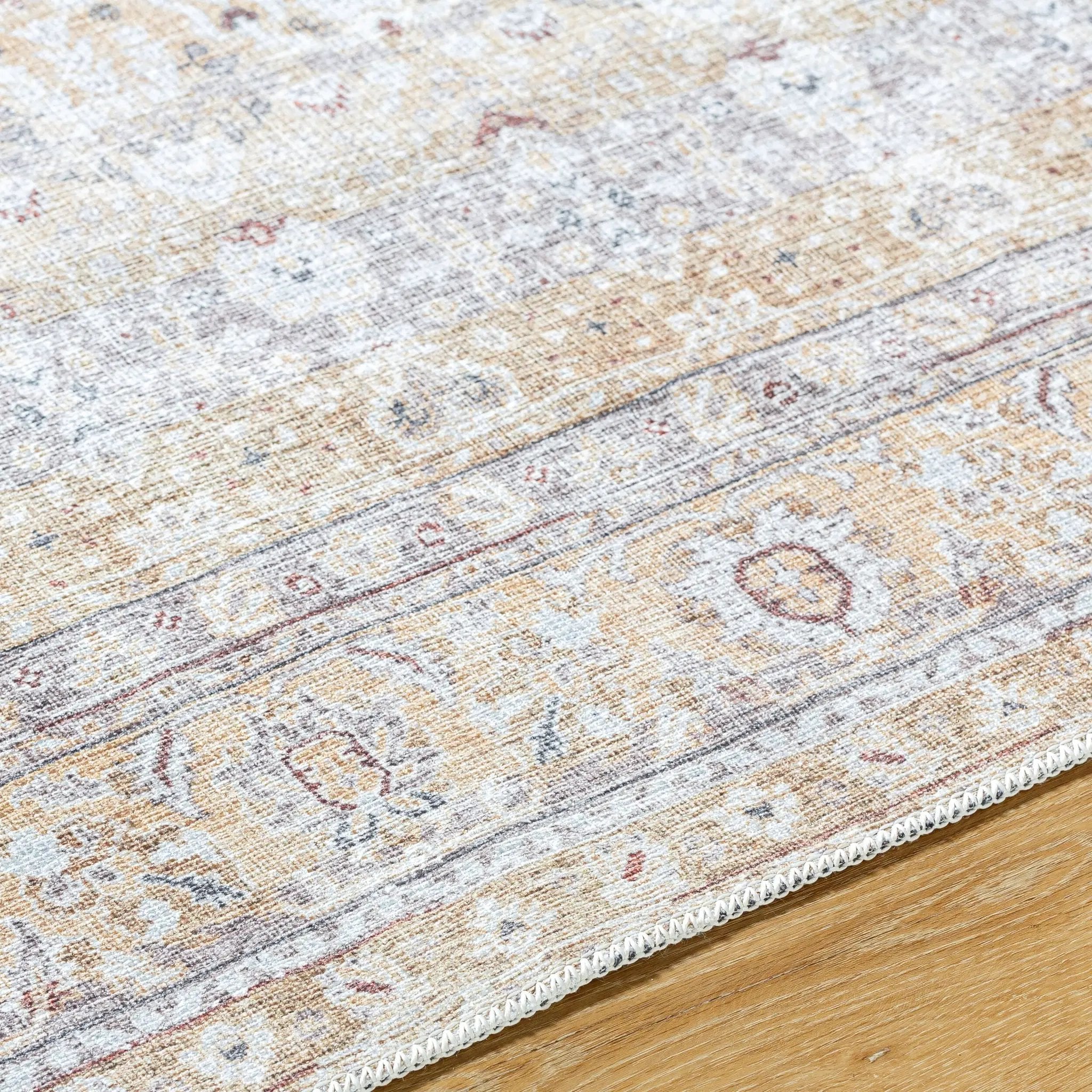 Amelie AML-2400 Beige Area Rug by LIVABLISS