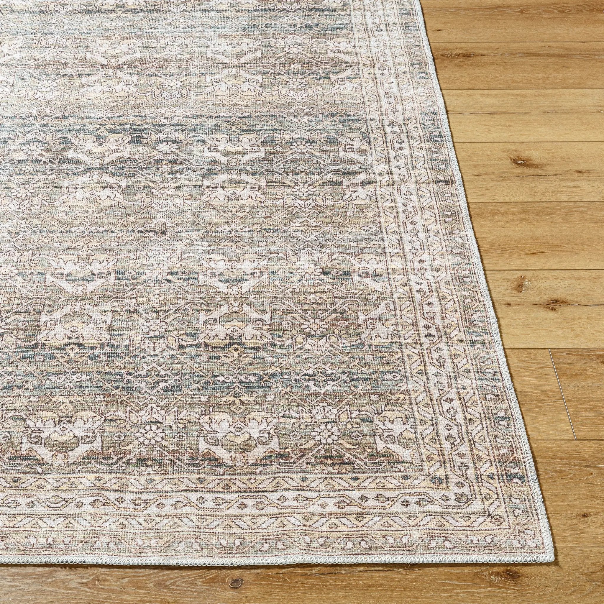 Amelie AML-2404 Medium-Green Area Rug by LIVABLISS