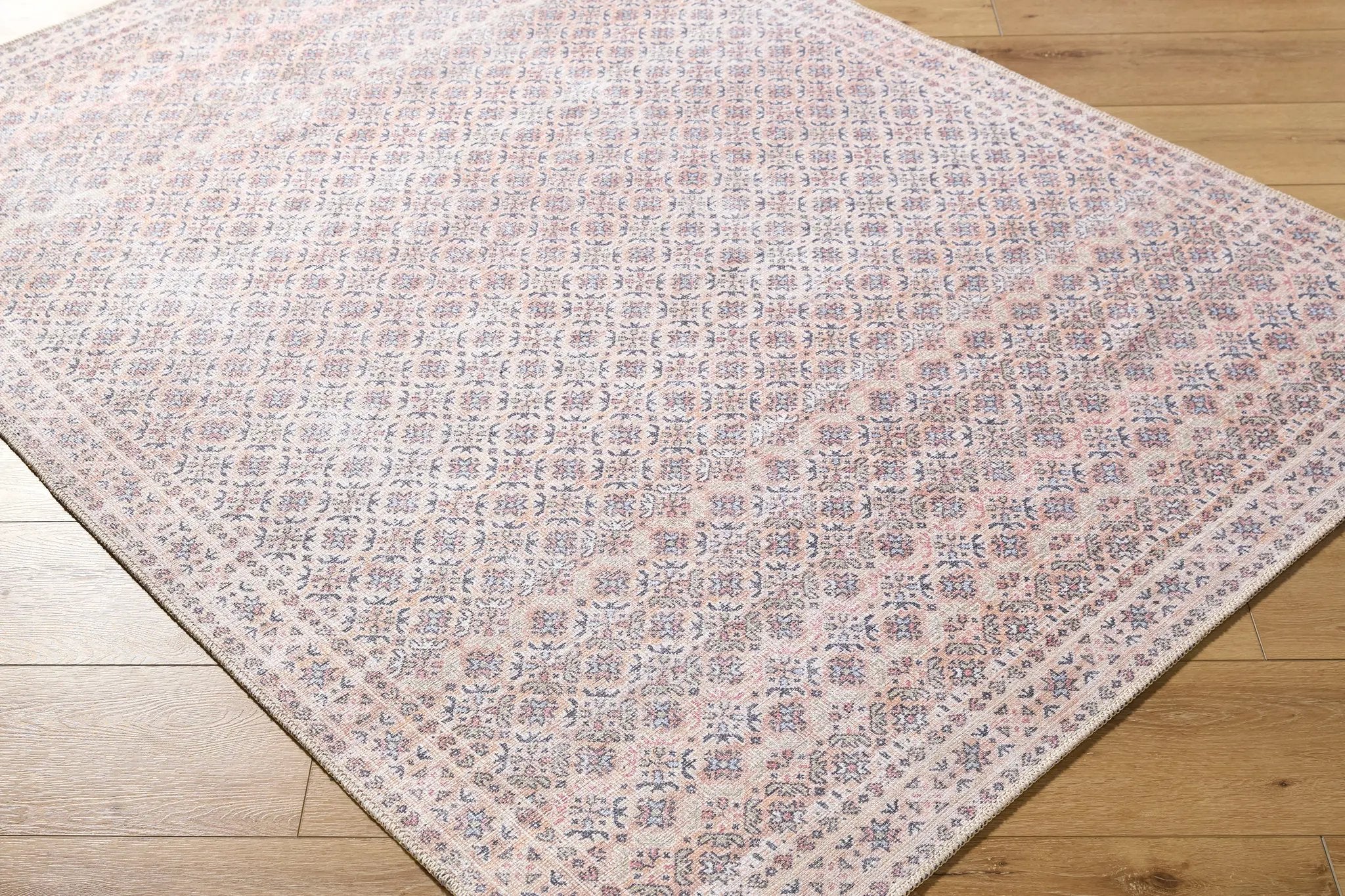 Amelie AML-2405 Beige Area Rug by LIVABLISS