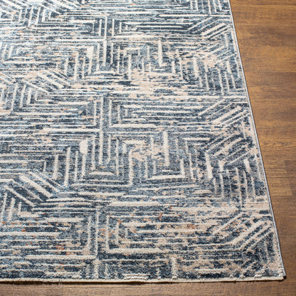 Surya Amore AMO-2337 Slate Area Rug by LIVABLISS