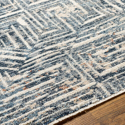 Surya Amore AMO-2337 Slate Area Rug by LIVABLISS