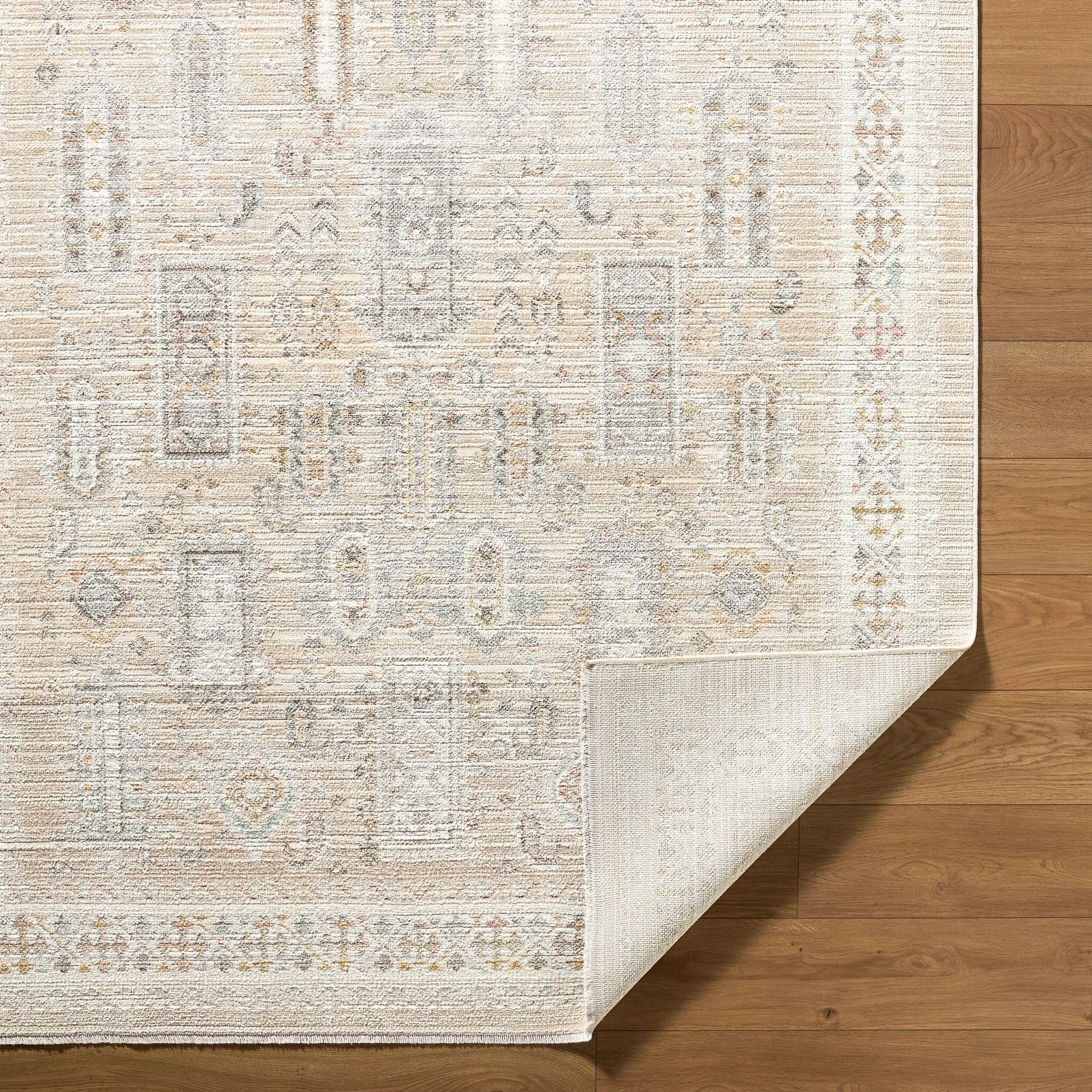 Amir AMR-2300 Beige Area Rug by LIVABLISS