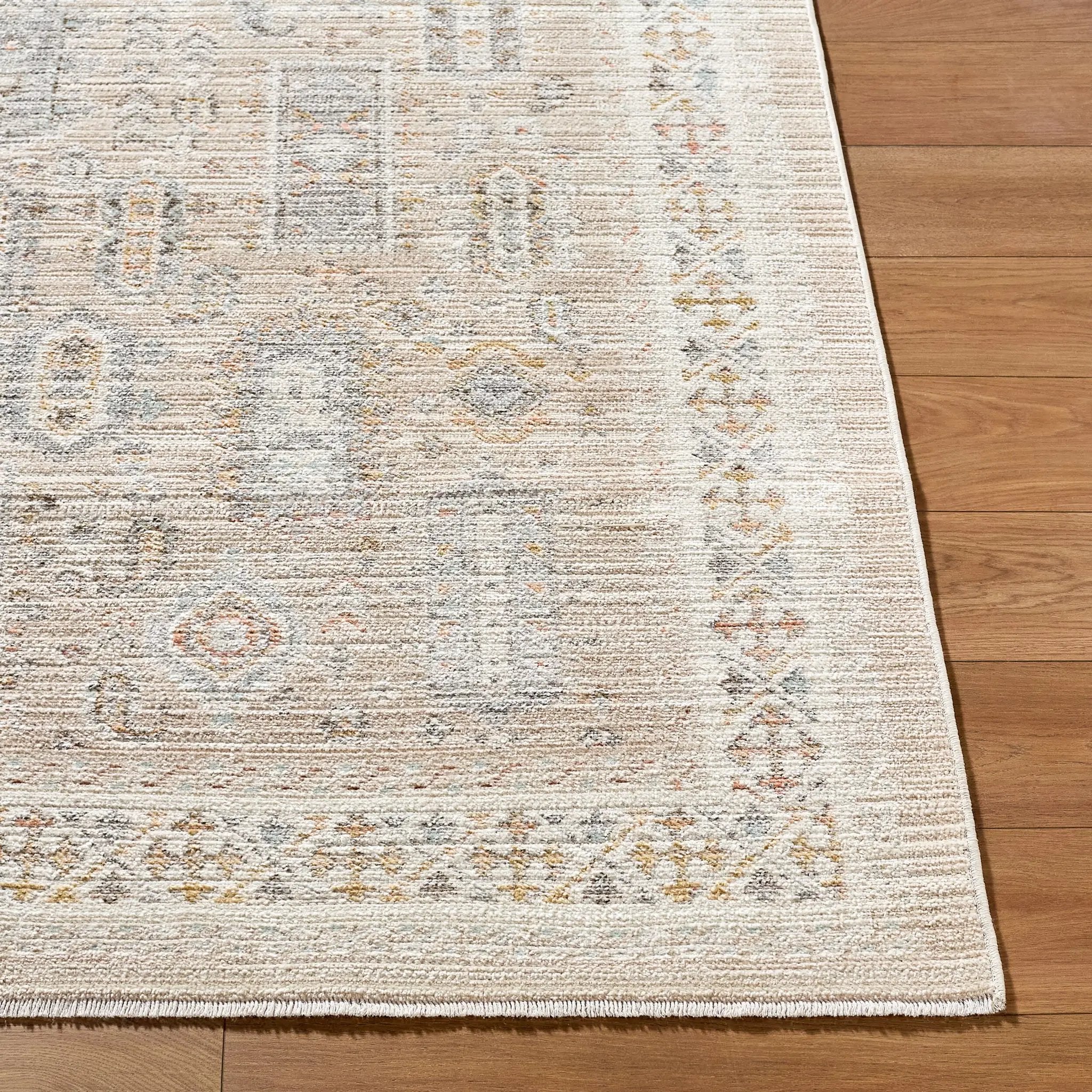 Amir AMR-2300 Beige Area Rug by LIVABLISS