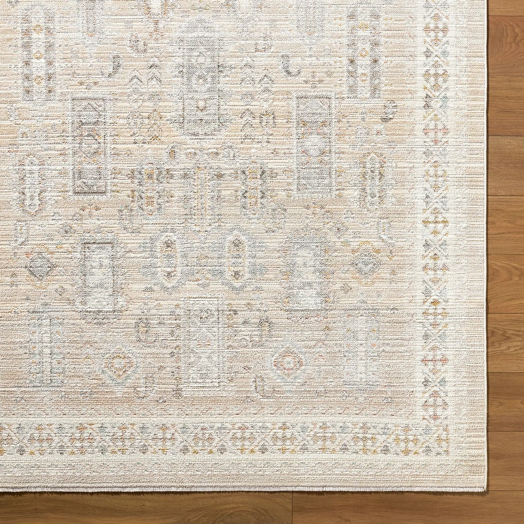 Amir AMR-2300 Beige Area Rug by LIVABLISS