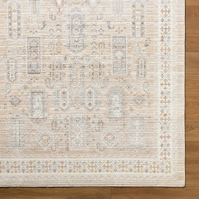 Amir AMR-2300 Beige Area Rug
