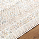 Amir AMR-2300 Beige Area Rug