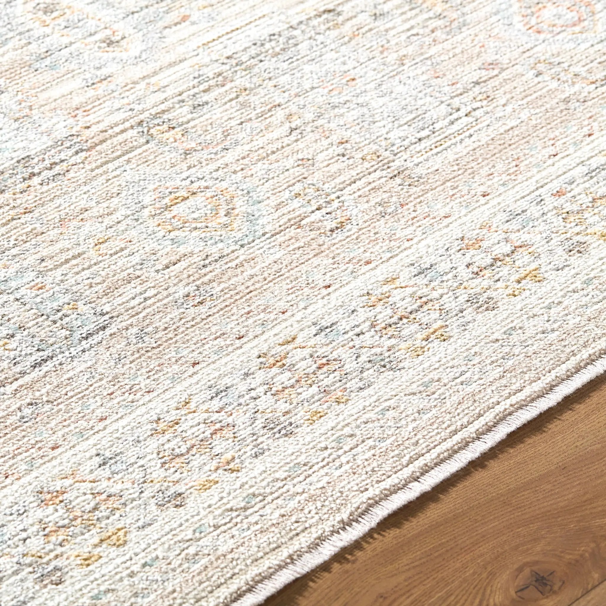 Amir AMR-2300 Beige Area Rug by LIVABLISS