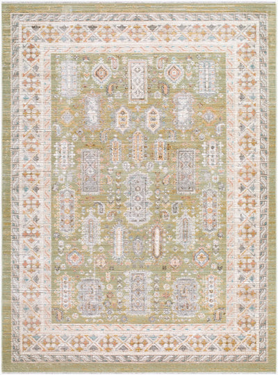 LIVABLISS Amir AMR-2301 Sage Area Rug