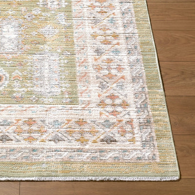LIVABLISS Amir AMR-2301 Sage Area Rug