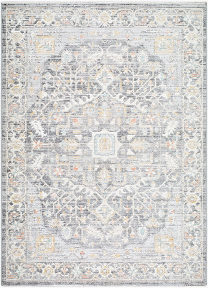 Amir AMR-2303 Multicolor Area Rug