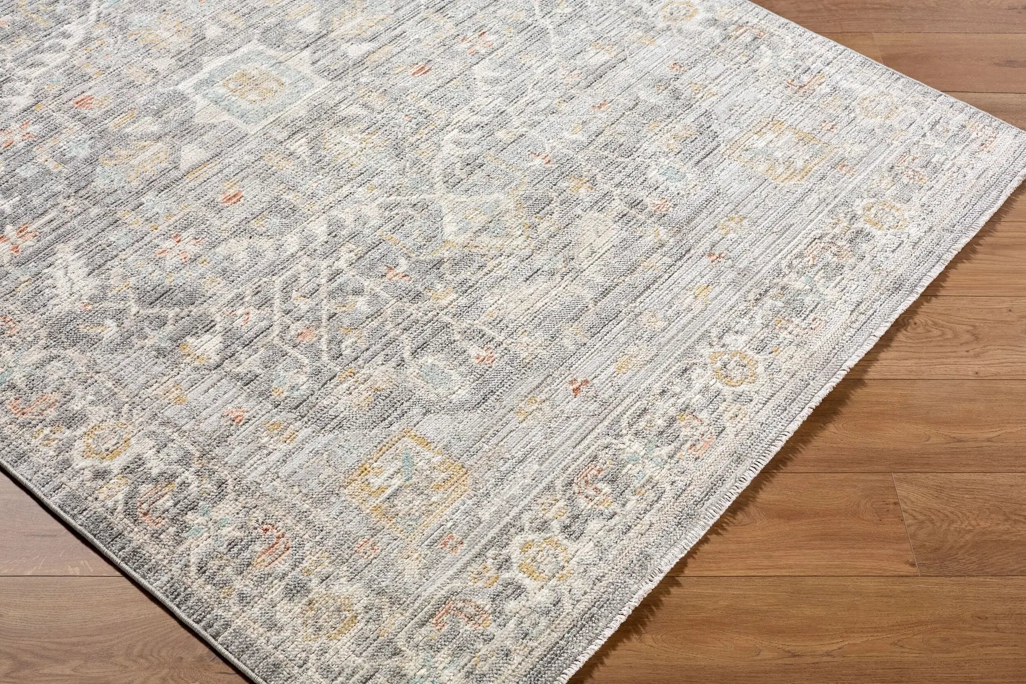 Amir AMR-2303 Multicolor Area Rug by LIVABLISS
