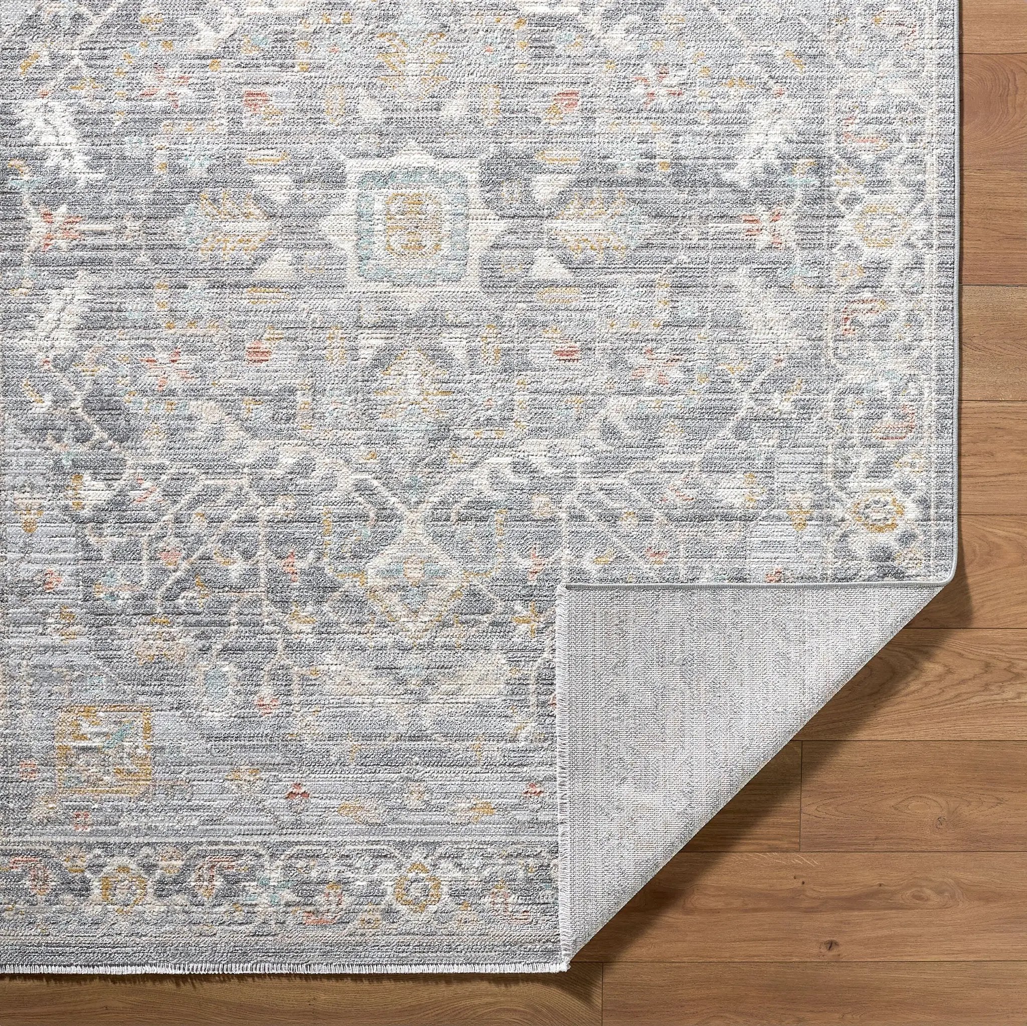 Amir AMR-2303 Multicolor Area Rug by LIVABLISS