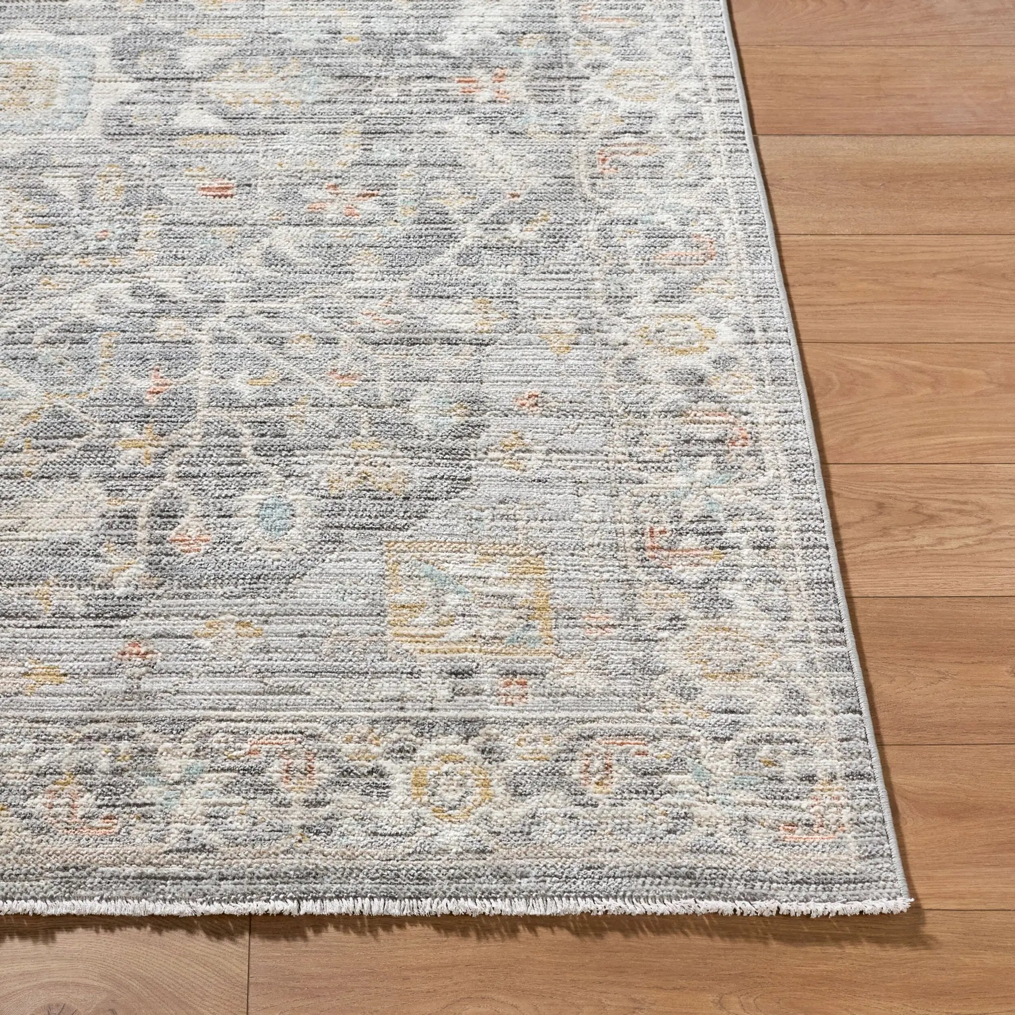 Amir AMR-2303 Multicolor Area Rug by LIVABLISS