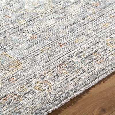 Amir AMR-2303 Multicolor Area Rug