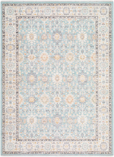 Amir AMR-2304 Blue Area Rug